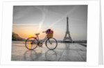Bicycle and Eiffel tower by Assaf Frank